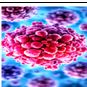 Respiratory Infections